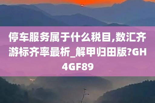 停车服务属于什么税目,数汇齐游标齐率最析_解甲归田版?GH4GF89