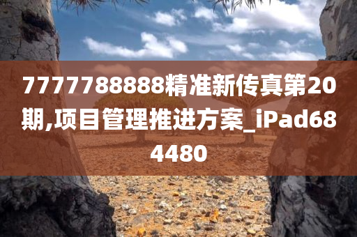 7777788888精准新传真第20期,项目管理推进方案_iPad684480