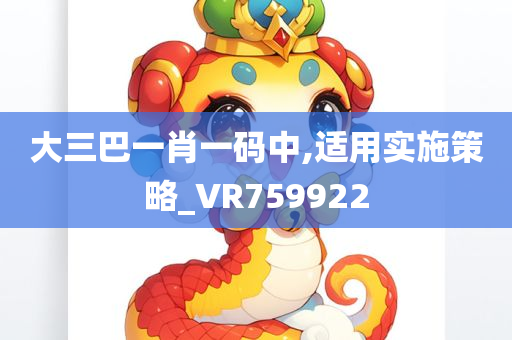 大三巴一肖一码中,适用实施策略_VR759922