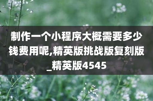 制作一个小程序大概需要多少钱费用呢,精英版挑战版复刻版_精英版4545