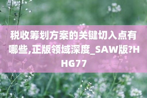 税收筹划方案的关键切入点有哪些,正版领域深度_SAW版?HHG77