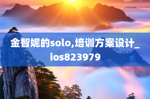 金智妮的solo,培训方案设计_ios823979