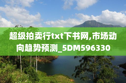 超级拍卖行txt下书网,市场动向趋势预测_5DM596330