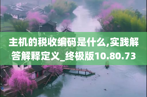 主机的税收编码是什么,实践解答解释定义_终极版10.80.73