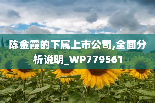 陈金霞的下属上市公司,全面分析说明_WP779561