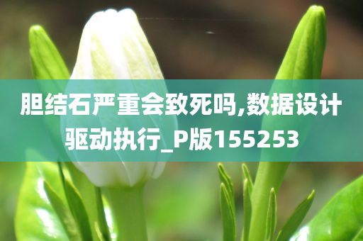 胆结石严重会致死吗,数据设计驱动执行_P版155253