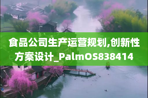 食品公司生产运营规划,创新性方案设计_PalmOS838414