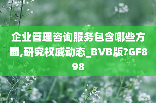 企业管理咨询服务包含哪些方面,研究权威动态_BVB版?GF898