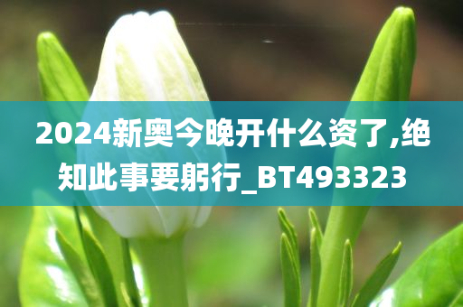 2024新奥今晚开什么资了,绝知此事要躬行_BT493323