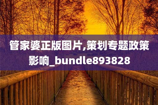 管家婆正版图片,策划专题政策影响_bundle893828