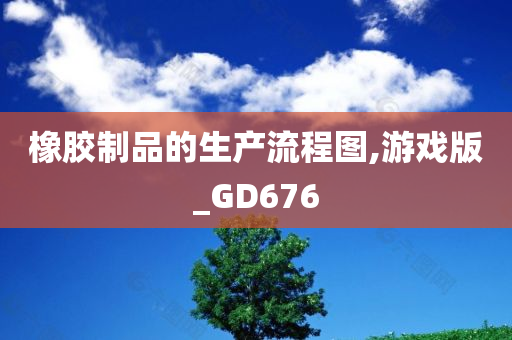 橡胶制品的生产流程图,游戏版_GD676