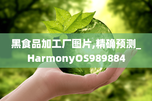 黑食品加工厂图片,精确预测_HarmonyOS989884