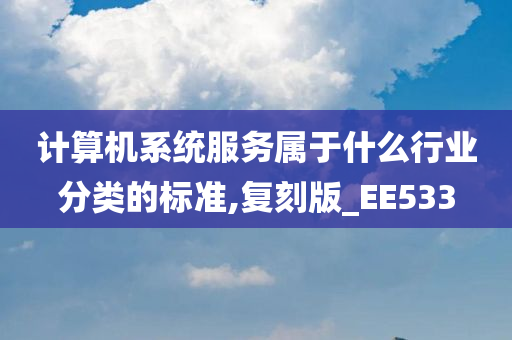 计算机系统服务属于什么行业分类的标准,复刻版_EE533