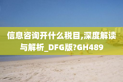 信息咨询开什么税目,深度解读与解析_DFG版?GH489