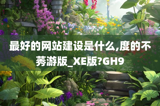 最好的网站建设是什么,度的不莠游版_XE版?GH9