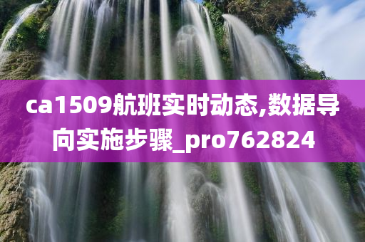 ca1509航班实时动态,数据导向实施步骤_pro762824