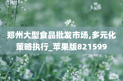 郑州大型食品批发市场,多元化策略执行_苹果版821599