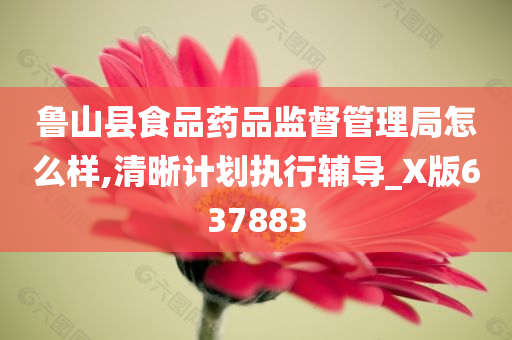 鲁山县食品药品监督管理局怎么样,清晰计划执行辅导_X版637883