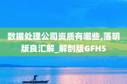 数据处理公司资质有哪些,落明版良汇解_解剖版GFH5