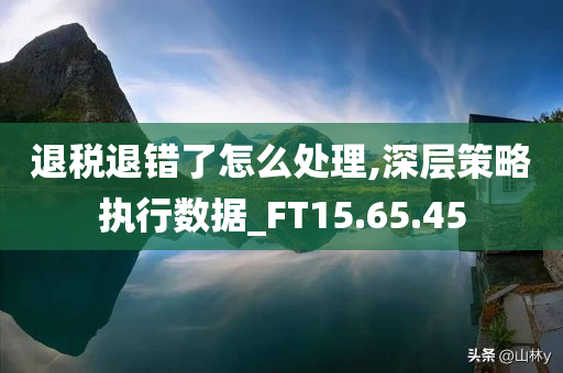 退税退错了怎么处理,深层策略执行数据_FT15.65.45