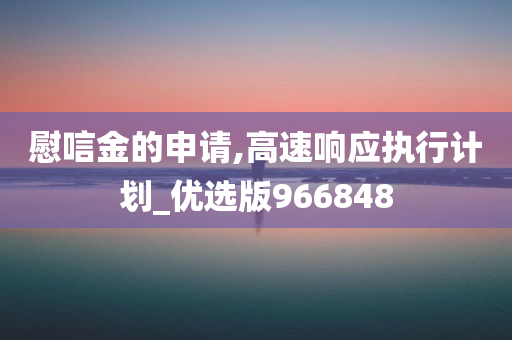 慰唁金的申请,高速响应执行计划_优选版966848