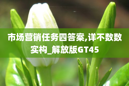 市场营销任务四答案,详不数数实构_解放版GT45