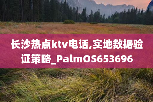 长沙热点ktv电话,实地数据验证策略_PalmOS653696