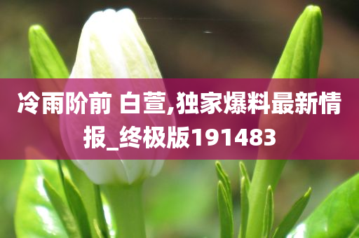 冷雨阶前 白萱,独家爆料最新情报_终极版191483