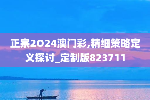 正宗2O24澳门彩,精细策略定义探讨_定制版823711