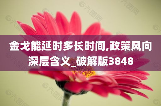 金戈能延时多长时间,政策风向深层含义_破解版3848