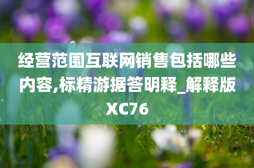 经营范围互联网销售包括哪些内容,标精游据答明释_解释版XC76