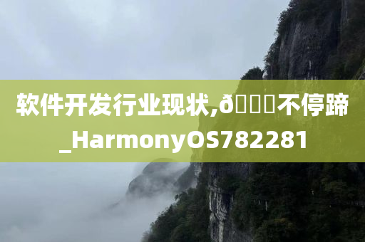 软件开发行业现状,🐎不停蹄_HarmonyOS782281