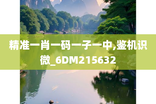 精准一肖一码一子一中,鉴机识微_6DM215632