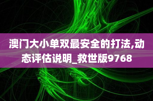 澳门大小单双最安全的打法,动态评估说明_救世版9768