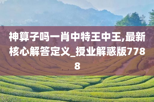 神算子吗一肖中特王中王,最新核心解答定义_授业解惑版7788