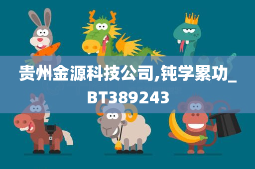 贵州金源科技公司,钝学累功_BT389243