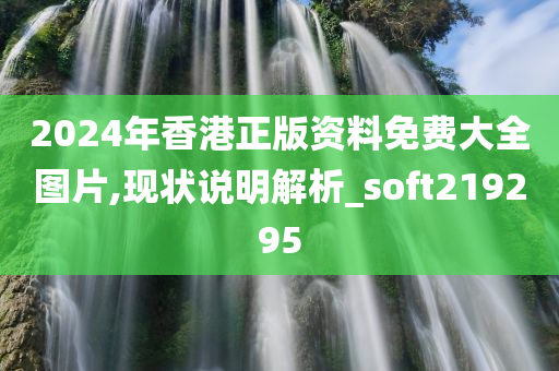 2024年香港正版资料免费大全图片,现状说明解析_soft219295