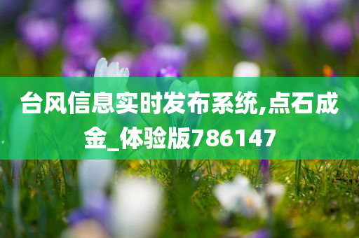 台风信息实时发布系统,点石成金_体验版786147