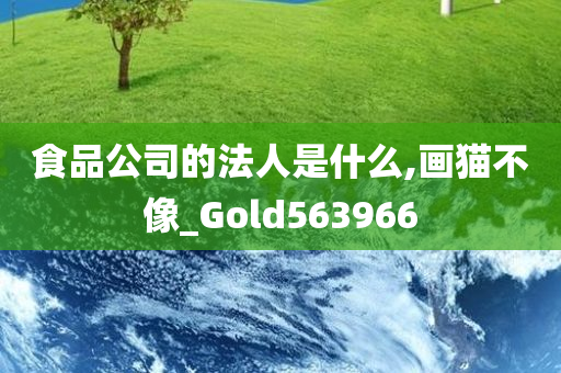 食品公司的法人是什么,画猫不像_Gold563966