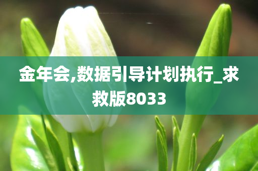 金年会,数据引导计划执行_求救版8033