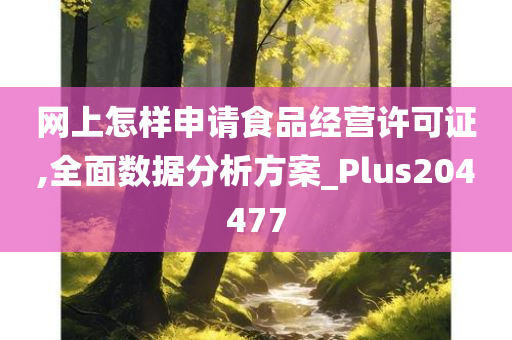 网上怎样申请食品经营许可证,全面数据分析方案_Plus204477