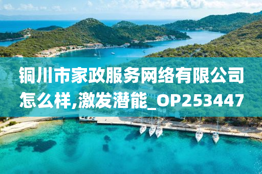 铜川市家政服务网络有限公司怎么样,激发潜能_OP253447