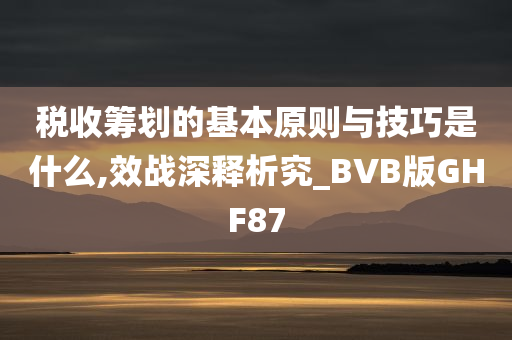 税收筹划的基本原则与技巧是什么,效战深释析究_BVB版GHF87