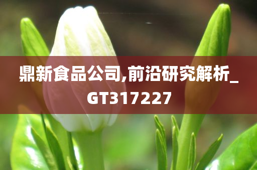 鼎新食品公司,前沿研究解析_GT317227