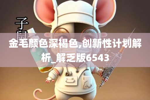 金毛颜色深褐色,创新性计划解析_解乏版6543