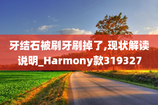 牙结石被刷牙刷掉了,现状解读说明_Harmony款319327