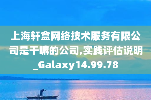 上海轩盒网络技术服务有限公司是干嘛的公司,实践评估说明_Galaxy14.99.78