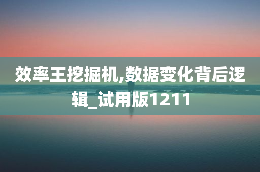 效率王挖掘机,数据变化背后逻辑_试用版1211