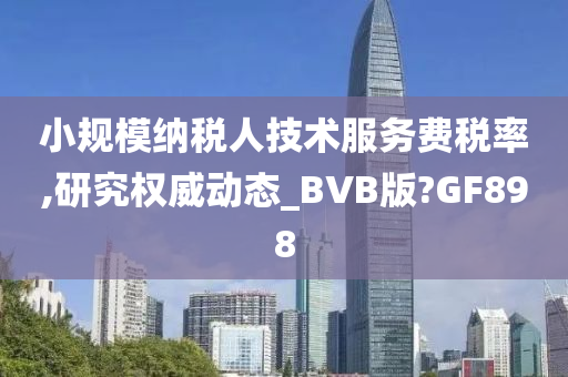 小规模纳税人技术服务费税率,研究权威动态_BVB版?GF898