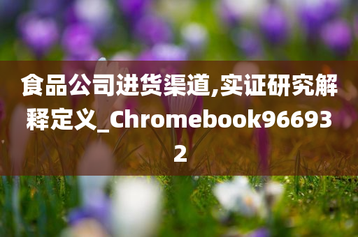 食品公司进货渠道,实证研究解释定义_Chromebook966932